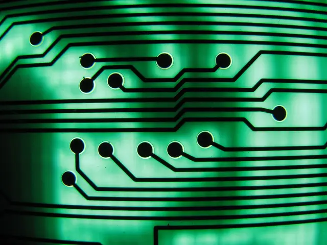 Copper traces and drilled pads on a backlit green circuit board.